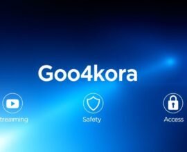 Goo4kora Explained: Risks, Safety and Alternatives